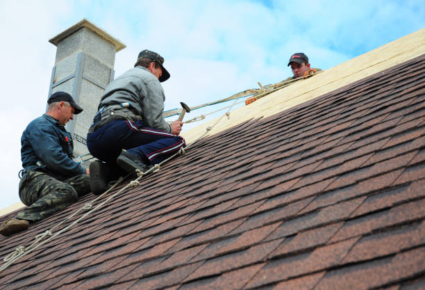 Gutter Installation and Roofing in Elk Mound, WI